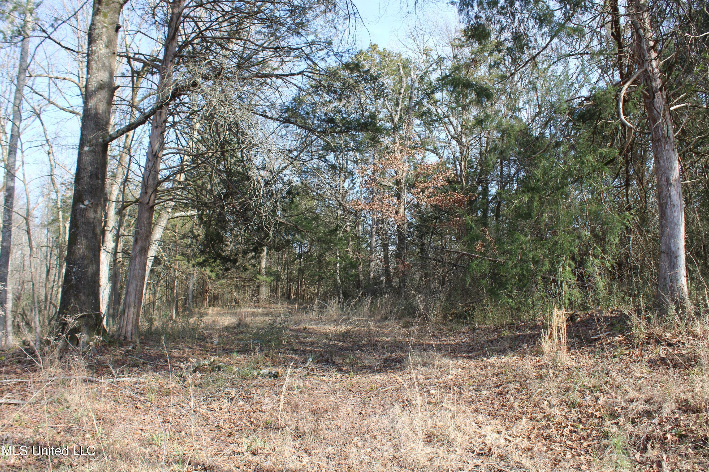 857 Lyles Road, Senatobia, Mississippi image 25