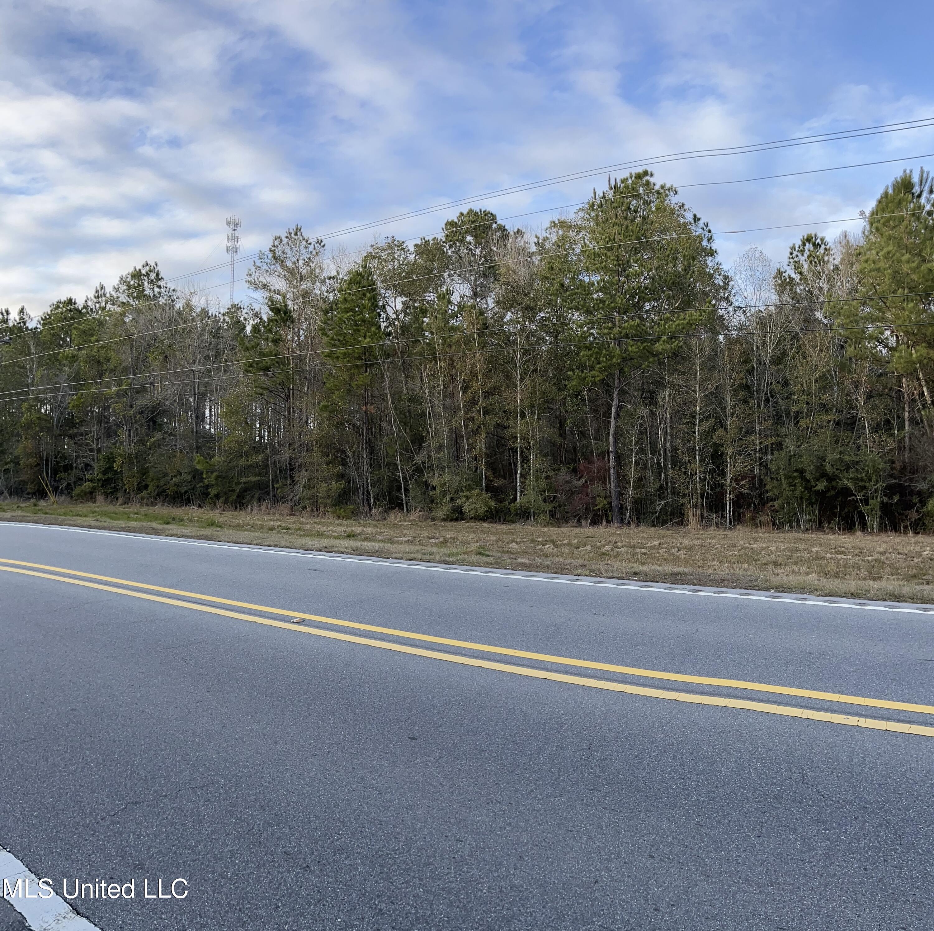 S Leetown And Highway 43 Highway, Picayune, Mississippi image 3