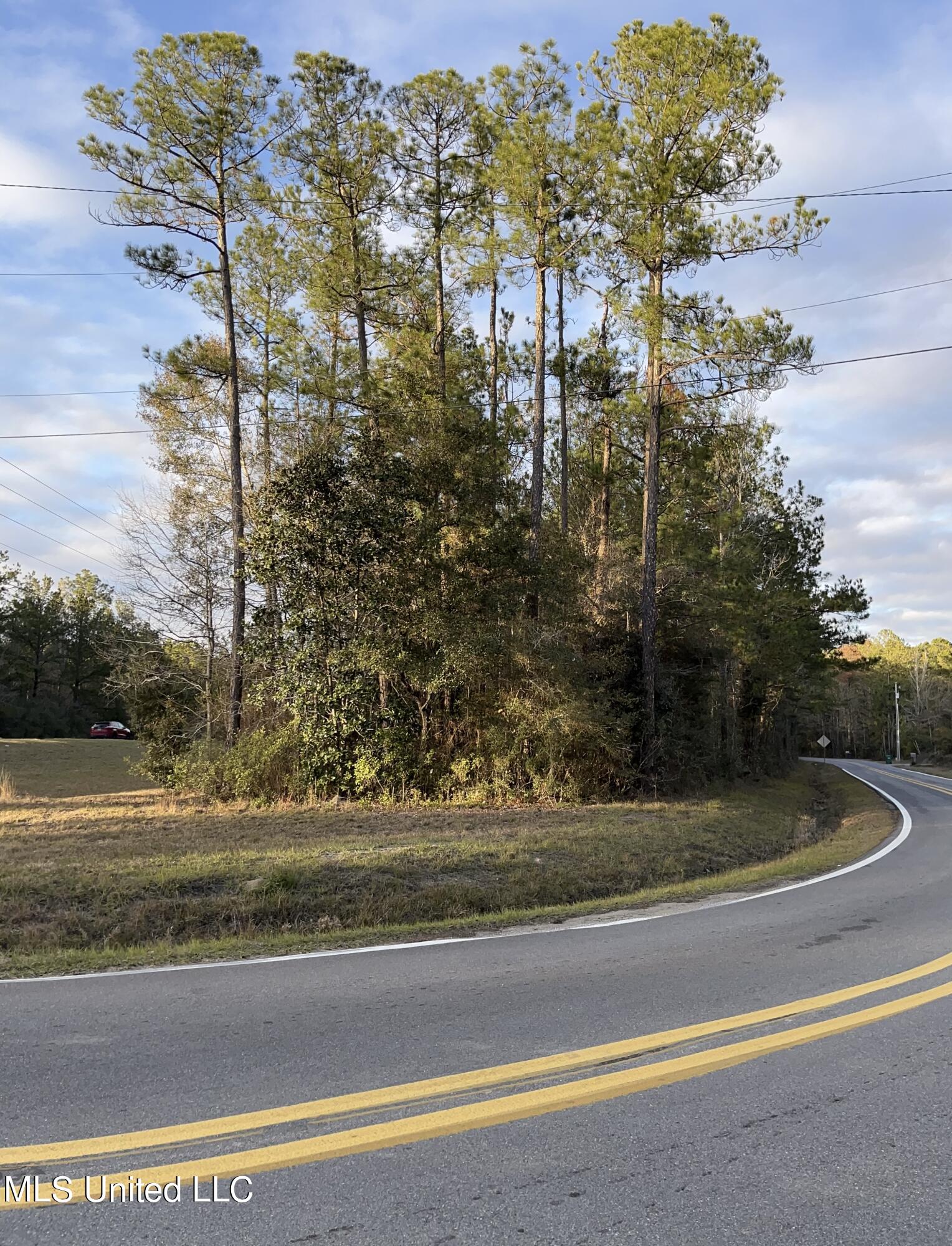 S Leetown And Highway 43 Highway, Picayune, Mississippi image 7