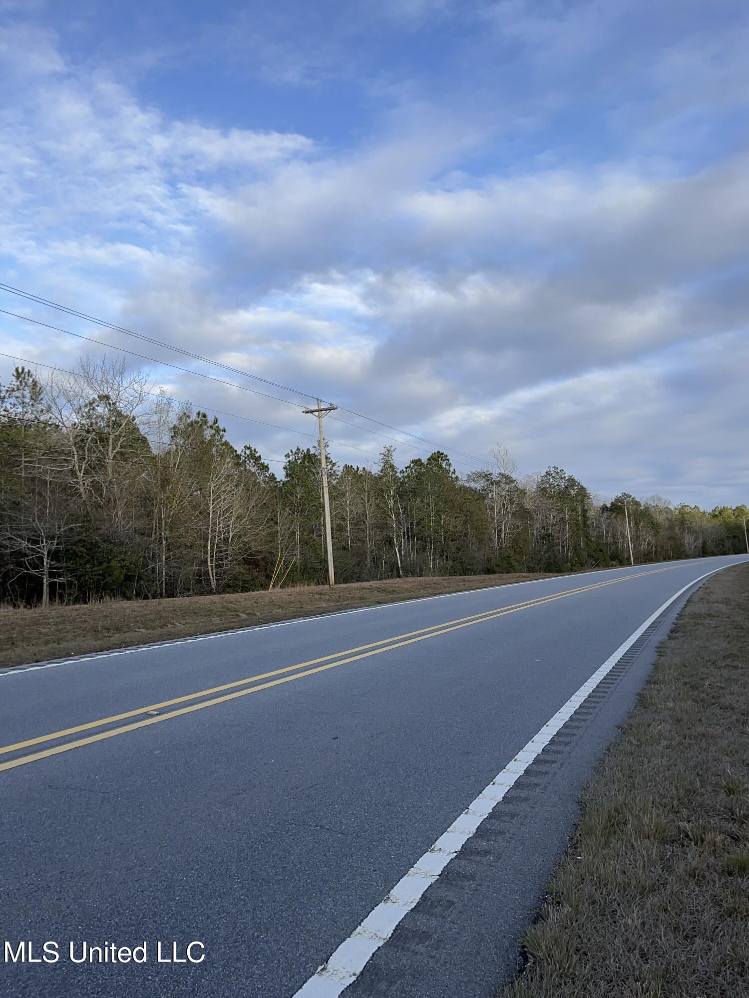 S Leetown And Highway 43 Highway, Picayune, Mississippi image 4