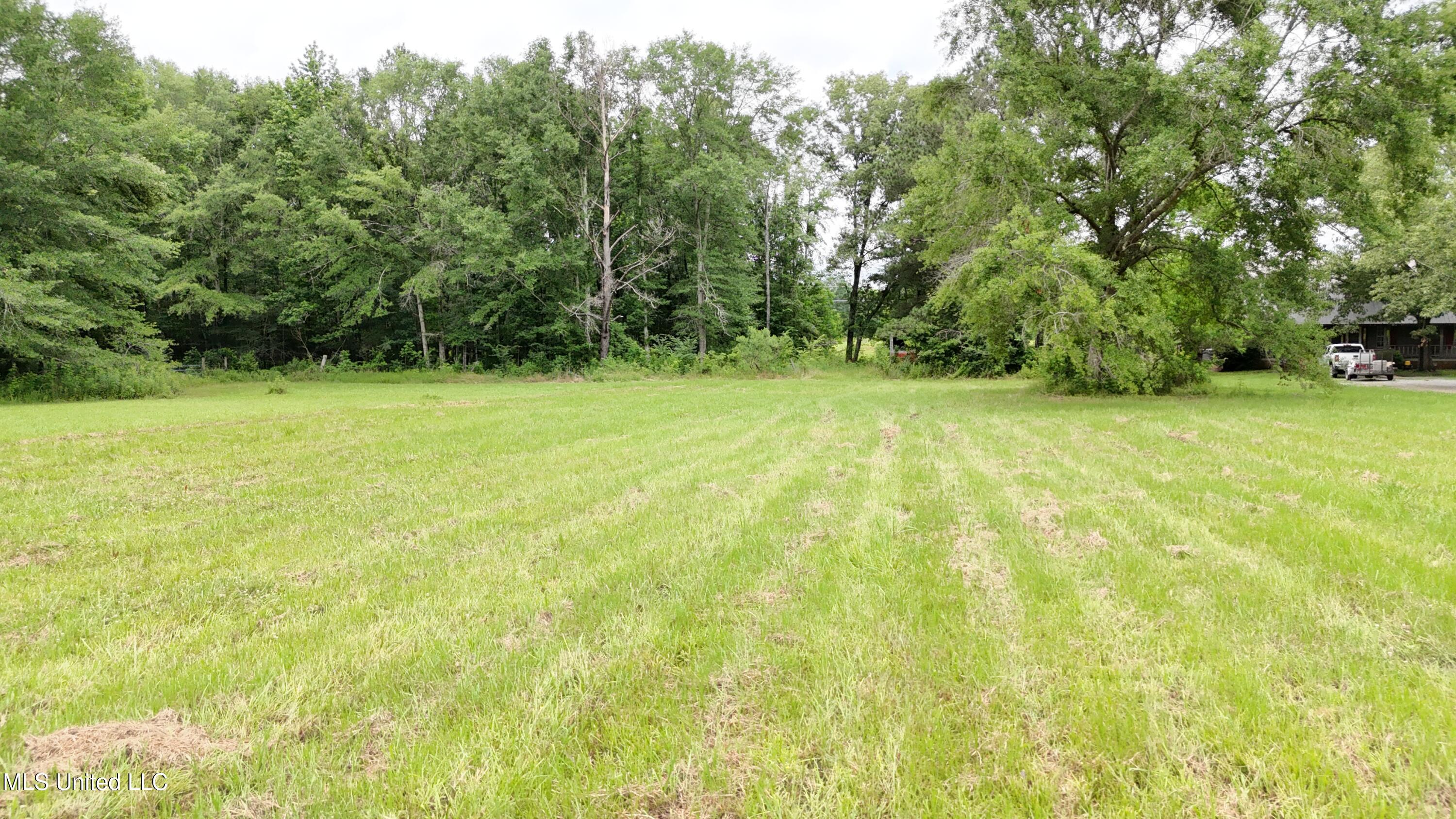 1326 Highway 80, Morton, Mississippi image 1