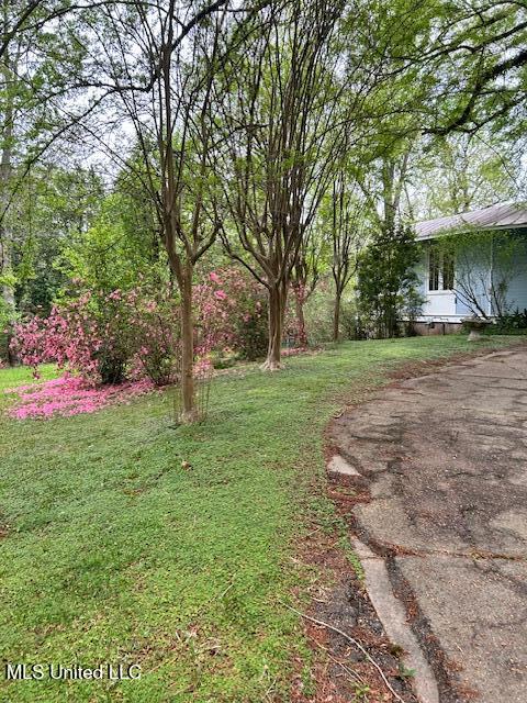 108 Dana Road, Natchez, Mississippi image 6