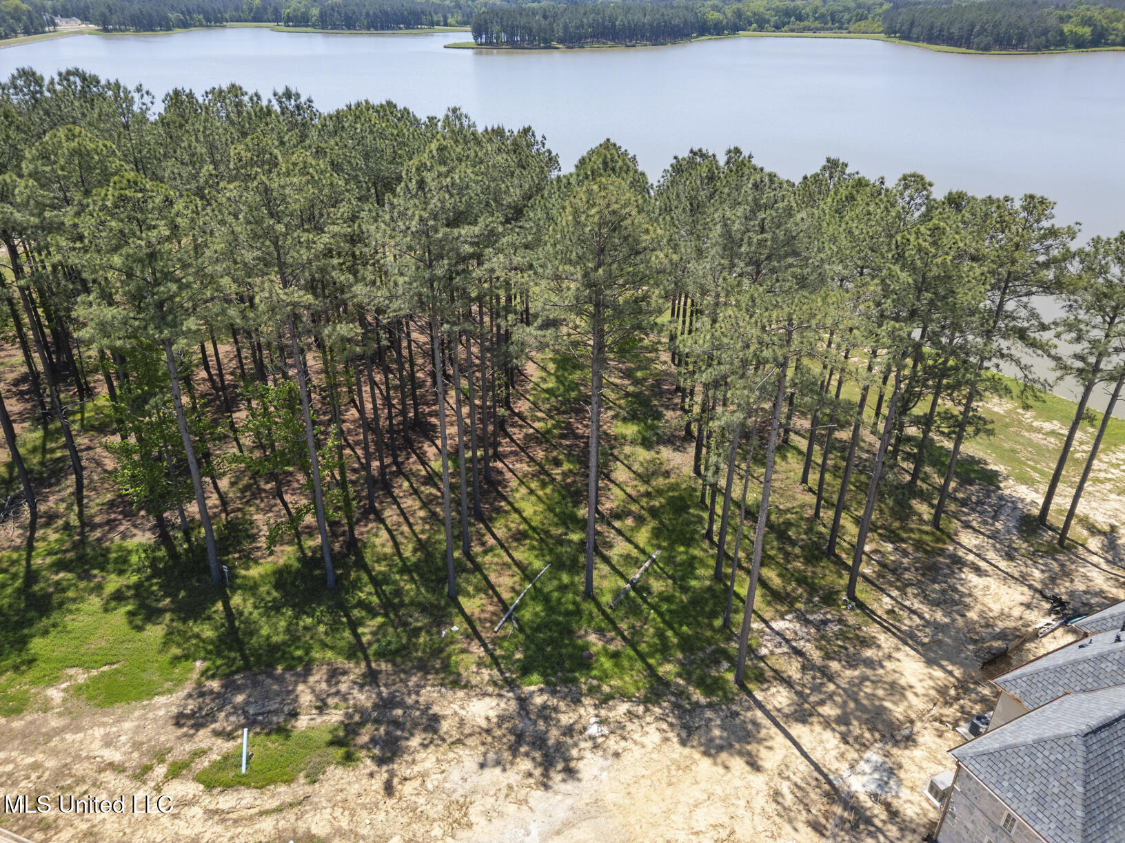 Bishop Pointe, Madison, Mississippi image 2