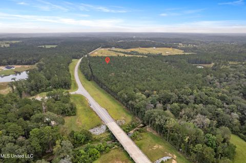 Vacant Land For Sale - PARCEL B Highway 42<br/> Richton, MS 39476
