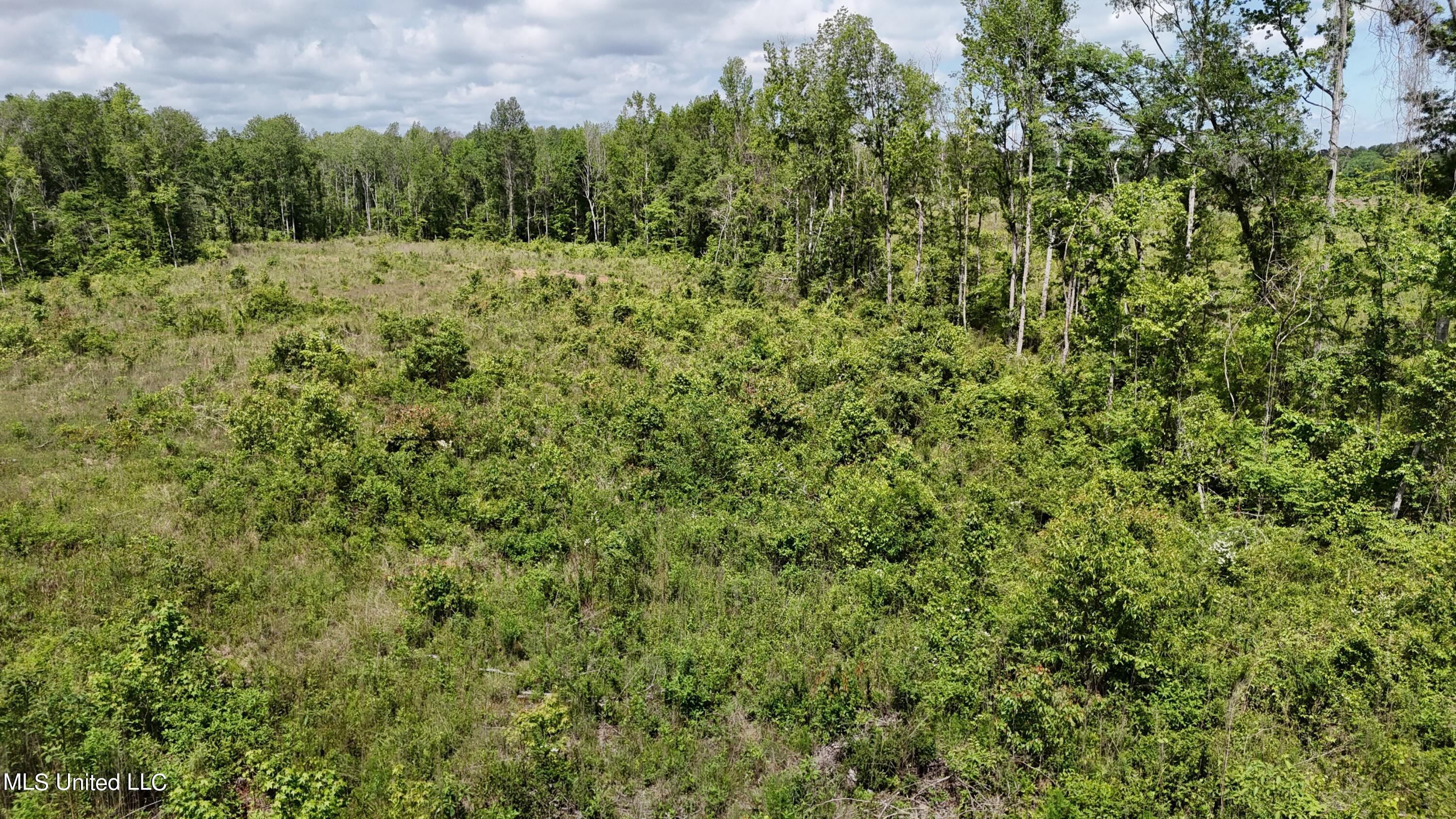 Harrison Road, Forest, Mississippi image 15