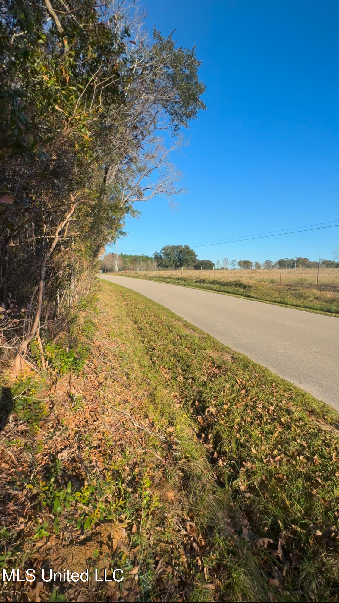 Cuevas Road, Pass Christian, Mississippi image 1