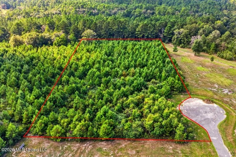 Vacant Land For Sale - LOT 50 Plantation Circle Drive<br/> Perkinston, MS 39573