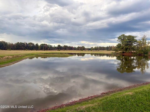 Homes For Sale - 1310 Jones Loop<br/> Hinds County, Terry, MS 39170