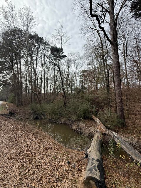 Vacant Land For Sale - 01 N Jordan Street<br/> Leake County, Carthage, MS 39051