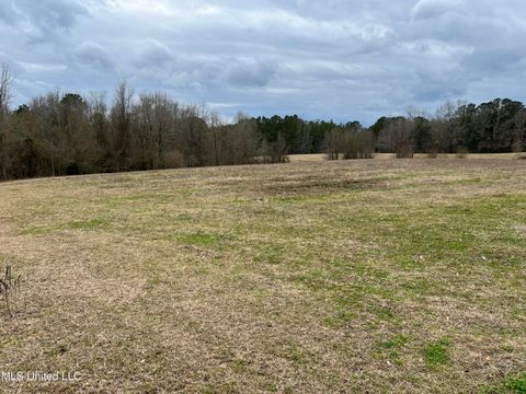 Vacant Land For Sale - Armory Drive<br/> Smith County, Taylorsville, MS 39168