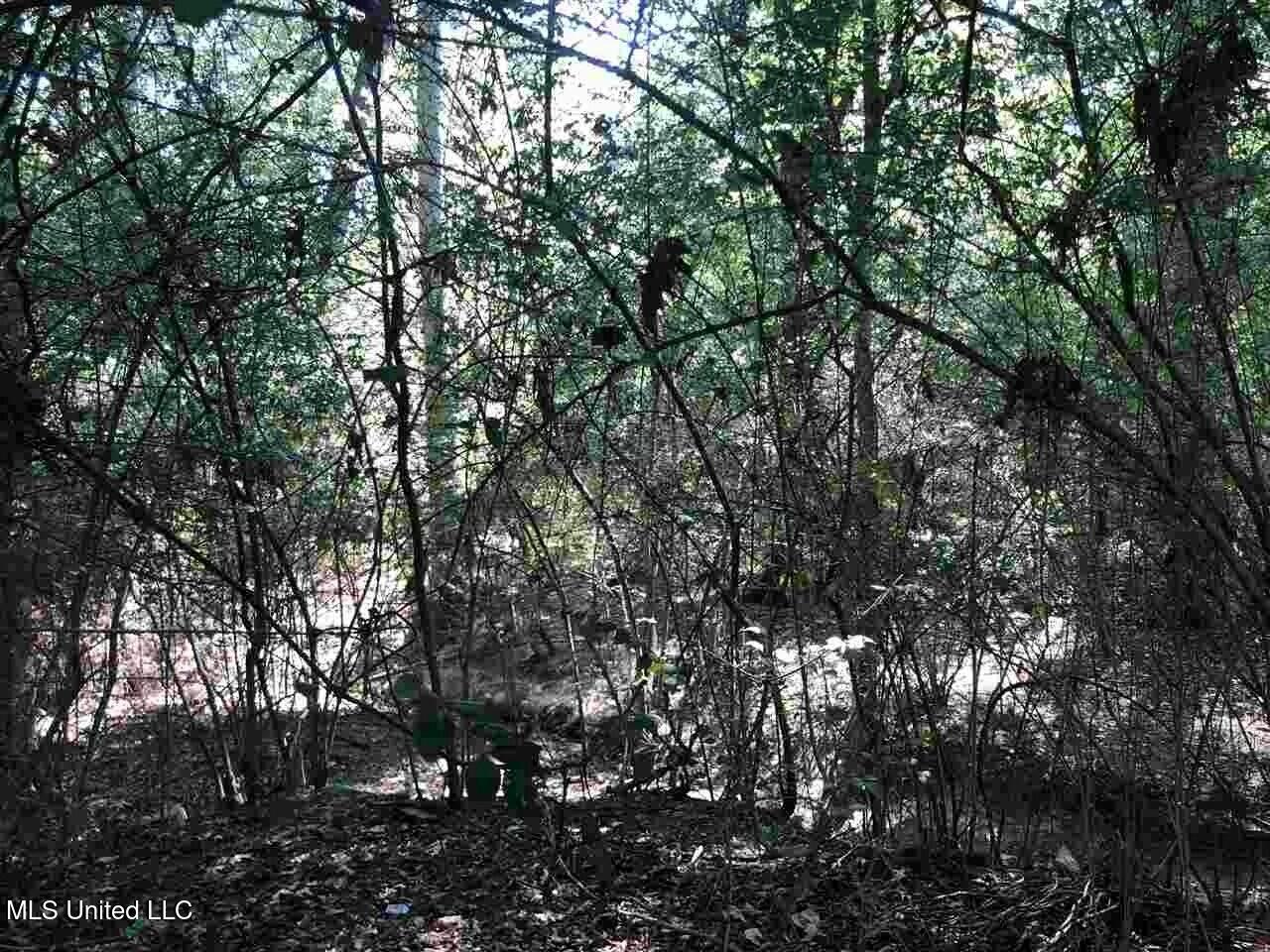 W Washington Street, Ridgeland, Mississippi image 4