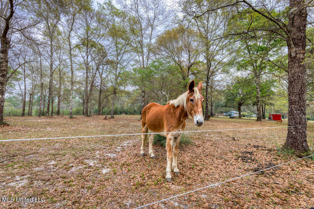 15429 Indian Fork Road, Vancleave, Mississippi image 23