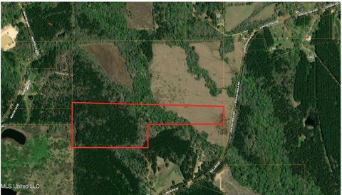 Vacant Land For Sale - 000 Sontag-nola Road<br/> Lincoln County, Sontag, MS 39665