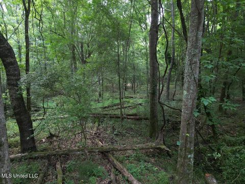 Vacant Land For Sale - 3 Old Hamburg Roxie Road<br/> Roxie, MS 39661