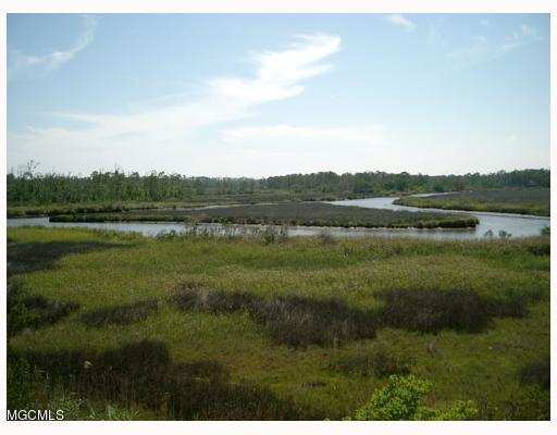 Lot 15 Pickering Forest Drive, Ocean Springs, Mississippi image 4