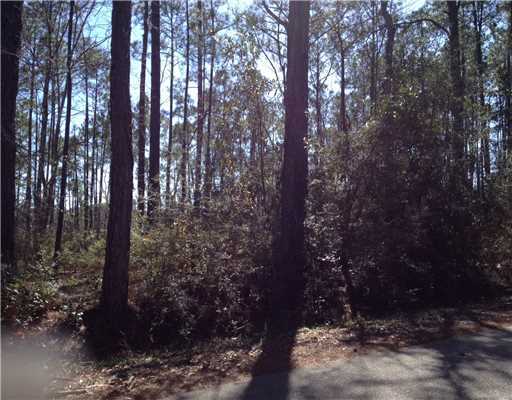 Lot 15 Pickering Forest Drive, Ocean Springs, Mississippi image 2