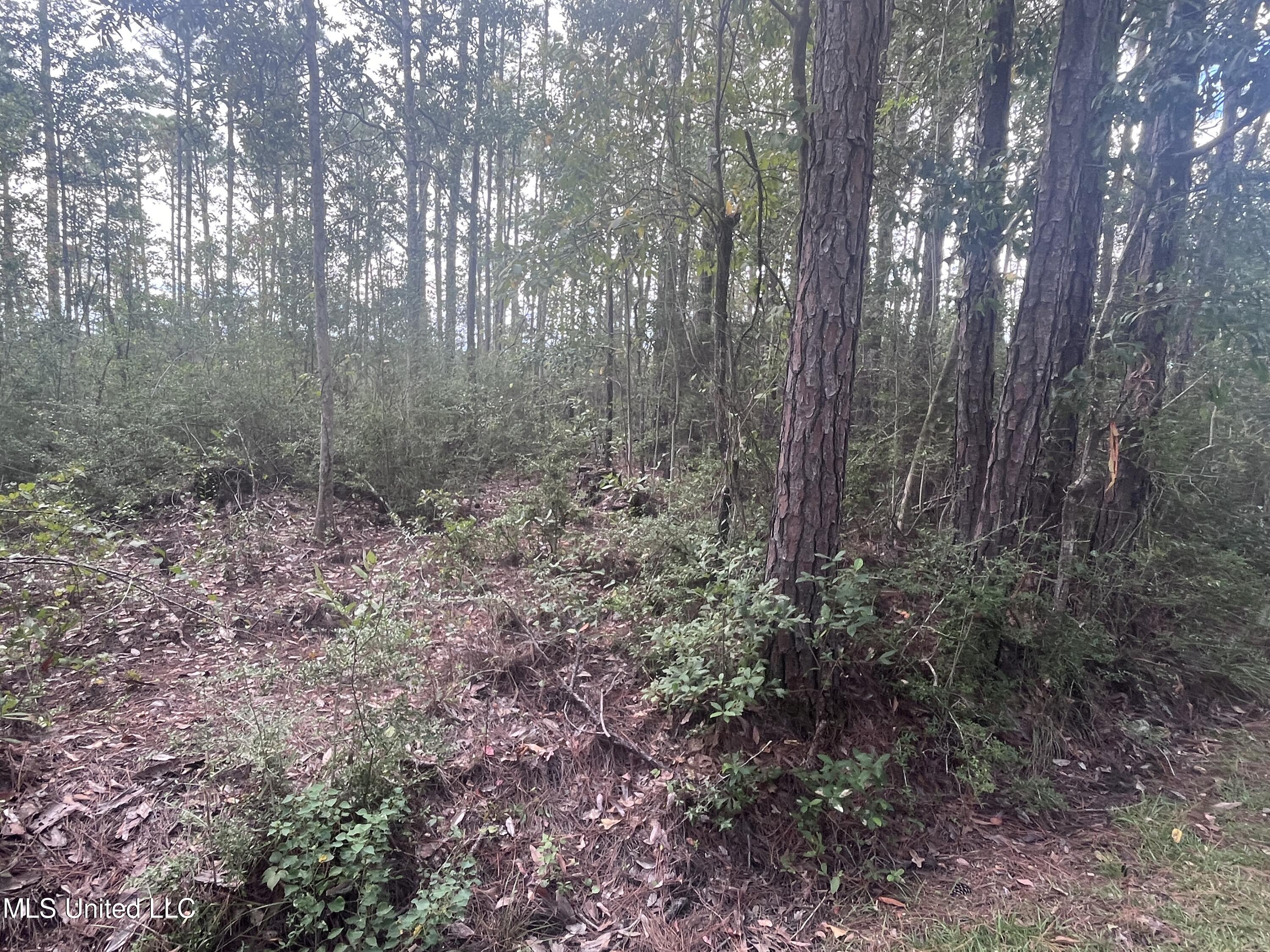 Lot 15 Pickering Forest Drive, Ocean Springs, Mississippi image 6