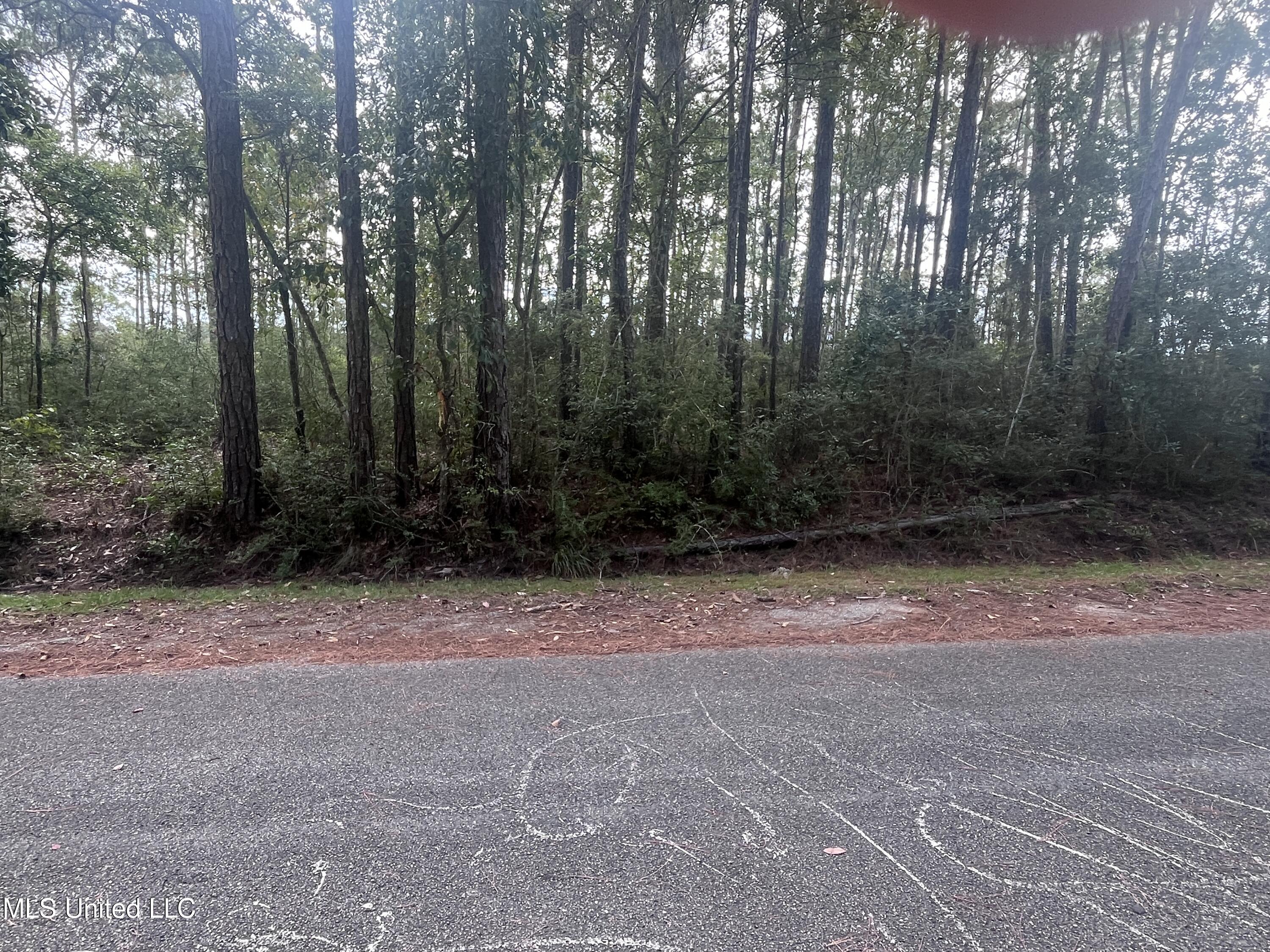 Lot 15 Pickering Forest Drive, Ocean Springs, Mississippi image 7