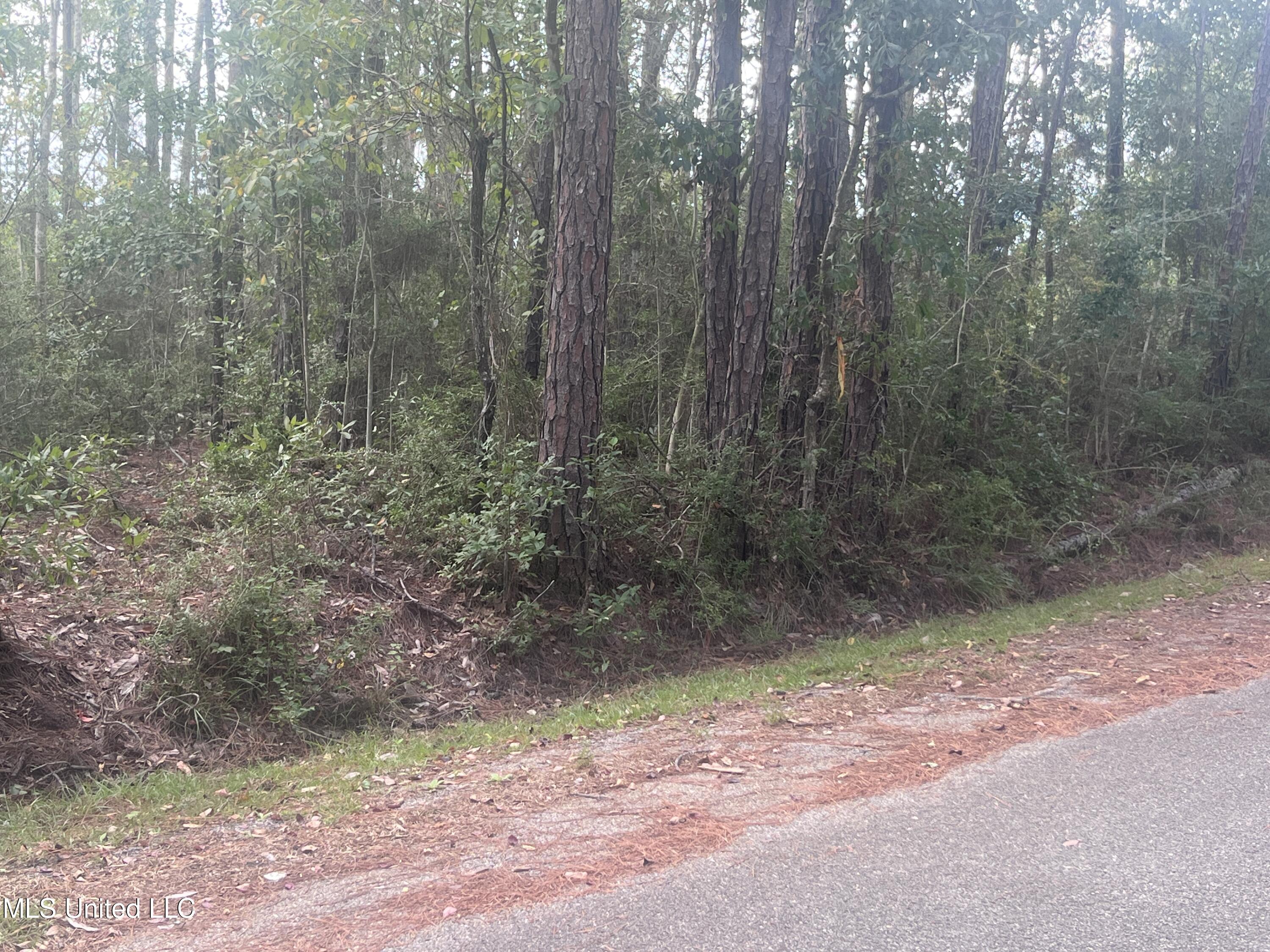 Lot 15 Pickering Forest Drive, Ocean Springs, Mississippi image 5