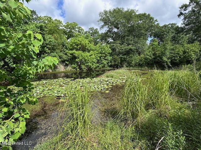 11340 Coleman Road, Gulfport, Mississippi image 2