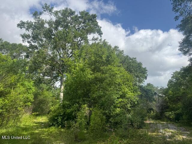 11340 Coleman Road, Gulfport, Mississippi image 3