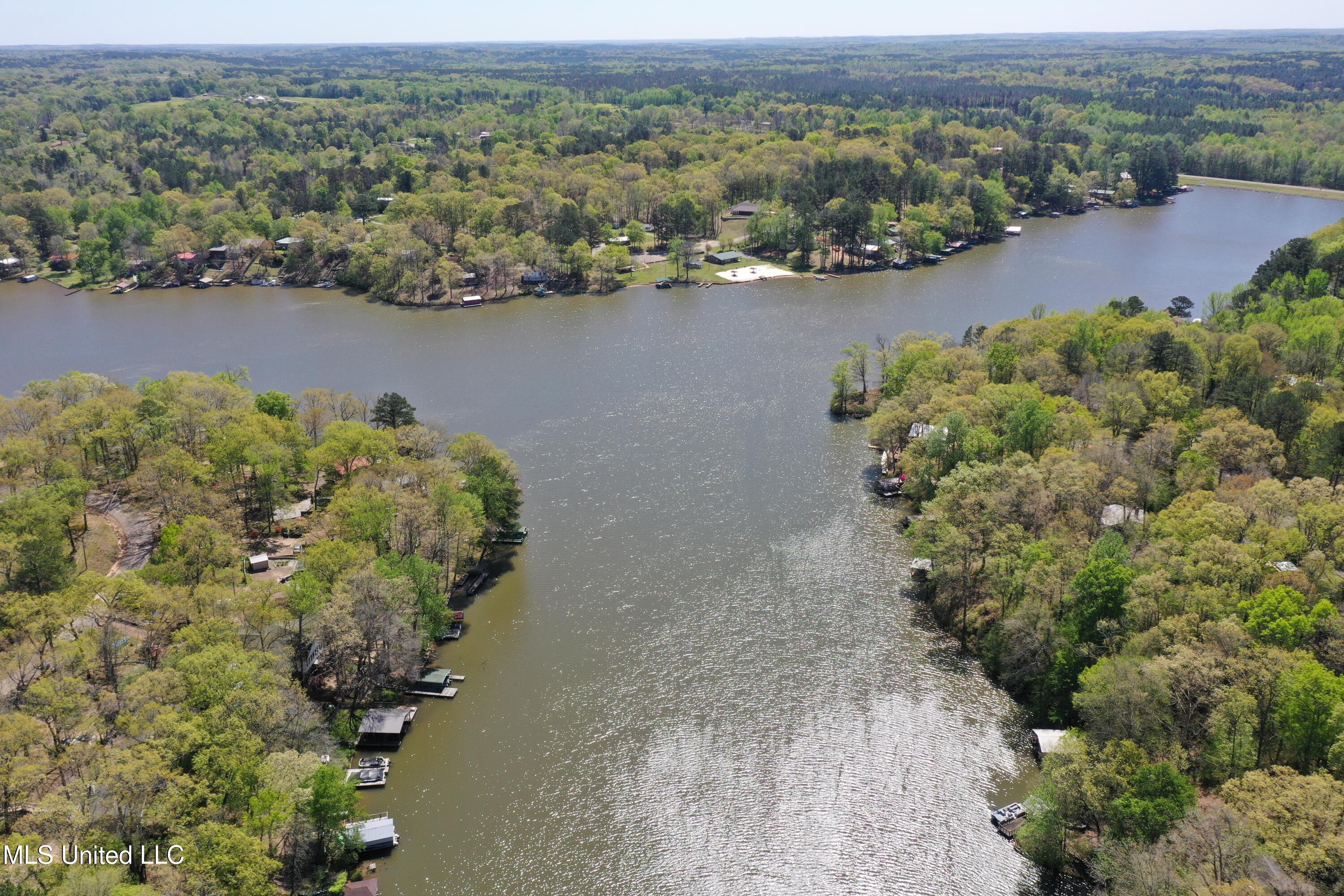 428 Lakeview Drive Drive, Ashland, Mississippi image 39