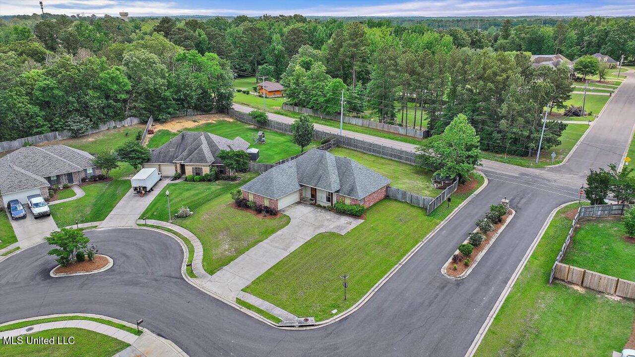 100 Britton Circle, Flowood, Mississippi image 40