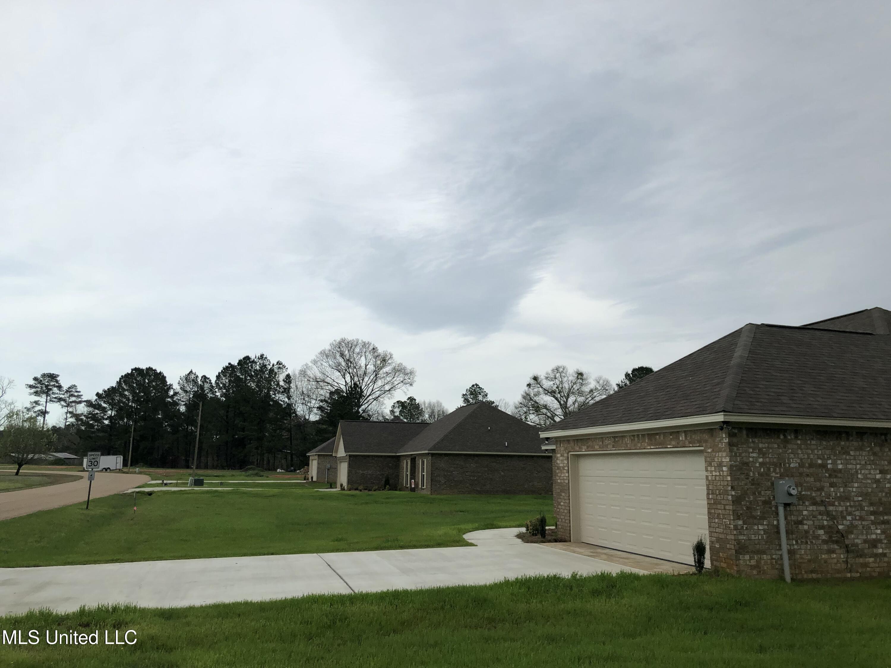 Lot 46 Caleb Cove, Carthage, Mississippi image 9