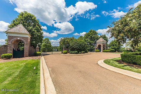 Vacant Land For Sale - Chestnut Hill Road<br/> Flora, MS 39071