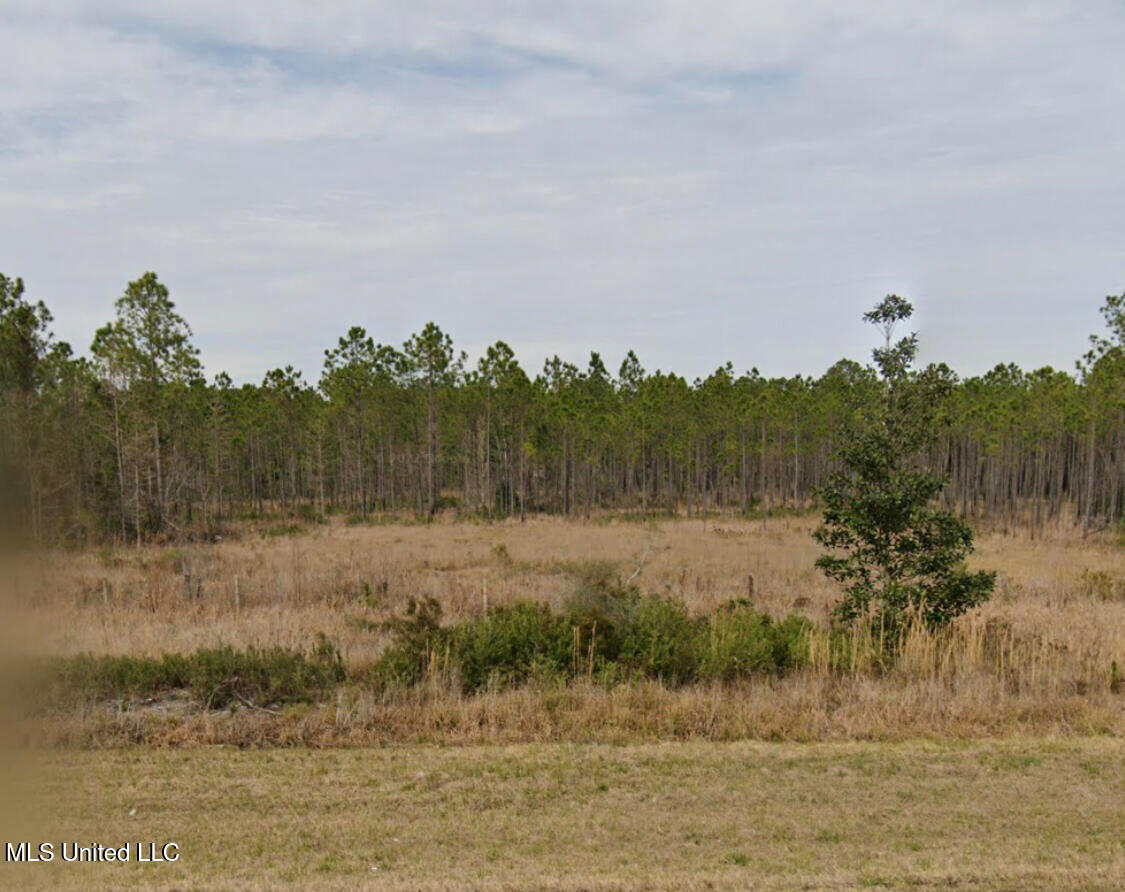 Independence Road, Moss Point, Mississippi image 1