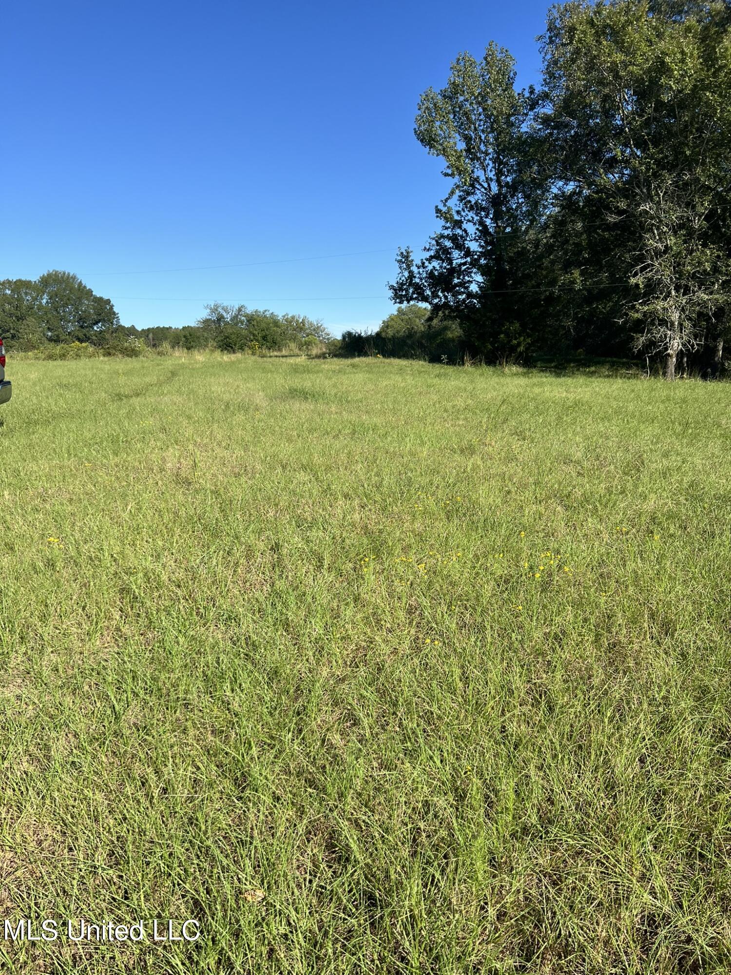 Moncure Road, Terry, Mississippi image 9