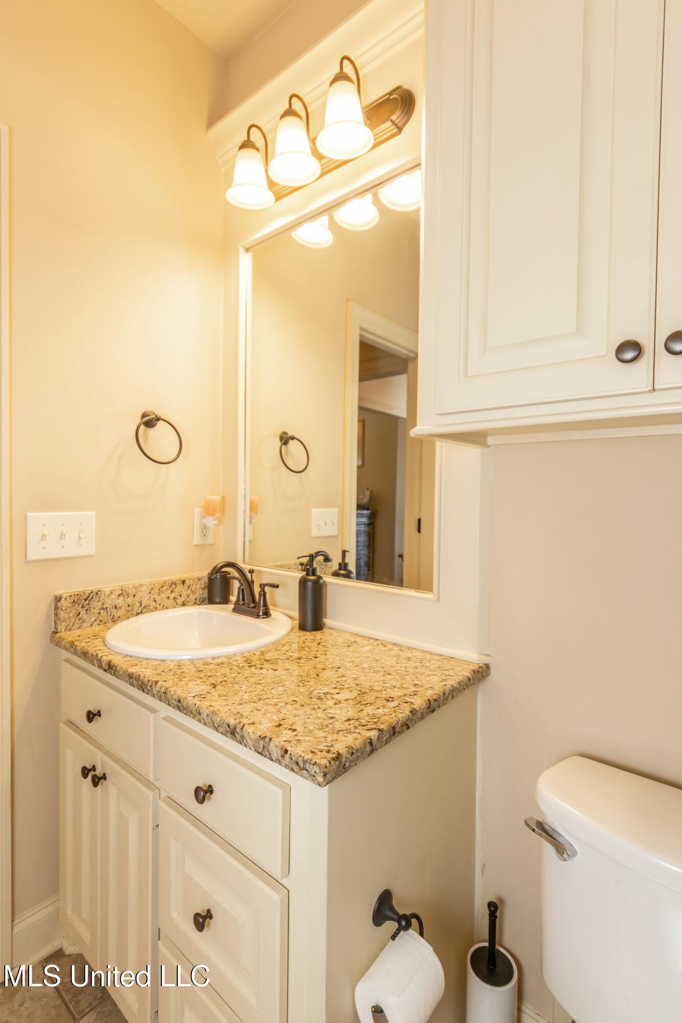 214 Stonebridge Boulevard, Brandon, Mississippi image 25