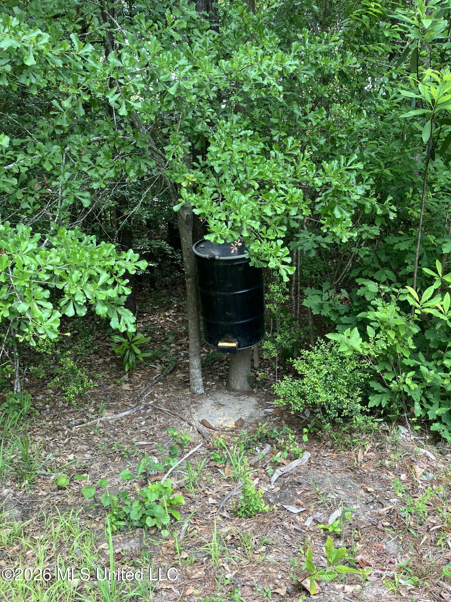 40 Acres Forestry Road 356