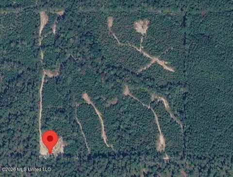 Vacant Land For Sale - 40 ACRES Forestry Road 356<br/> Beaumont, MS 39423