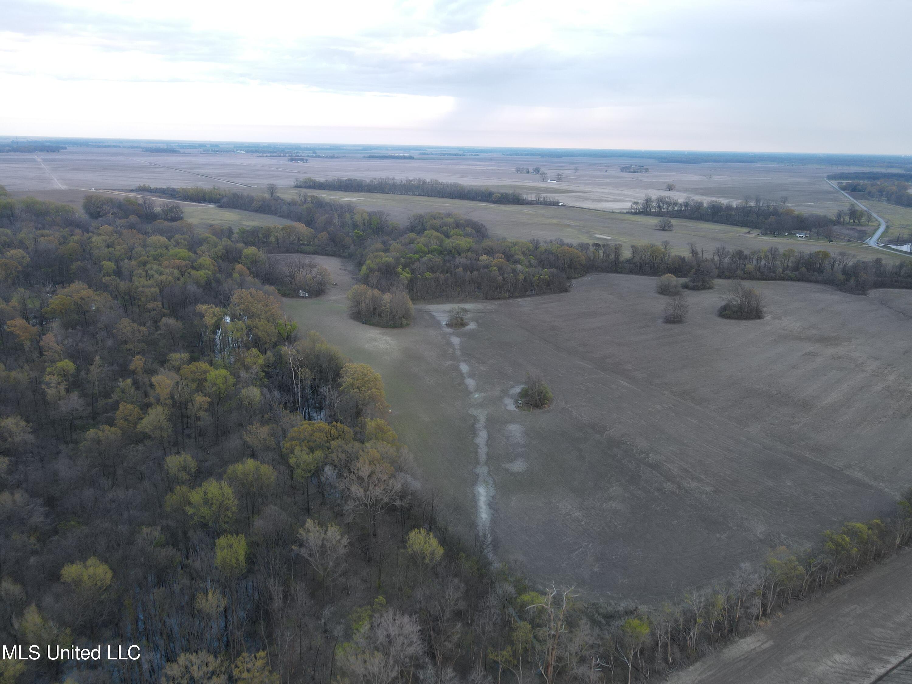 Huntington Point Road, Greenville, Mississippi image 16