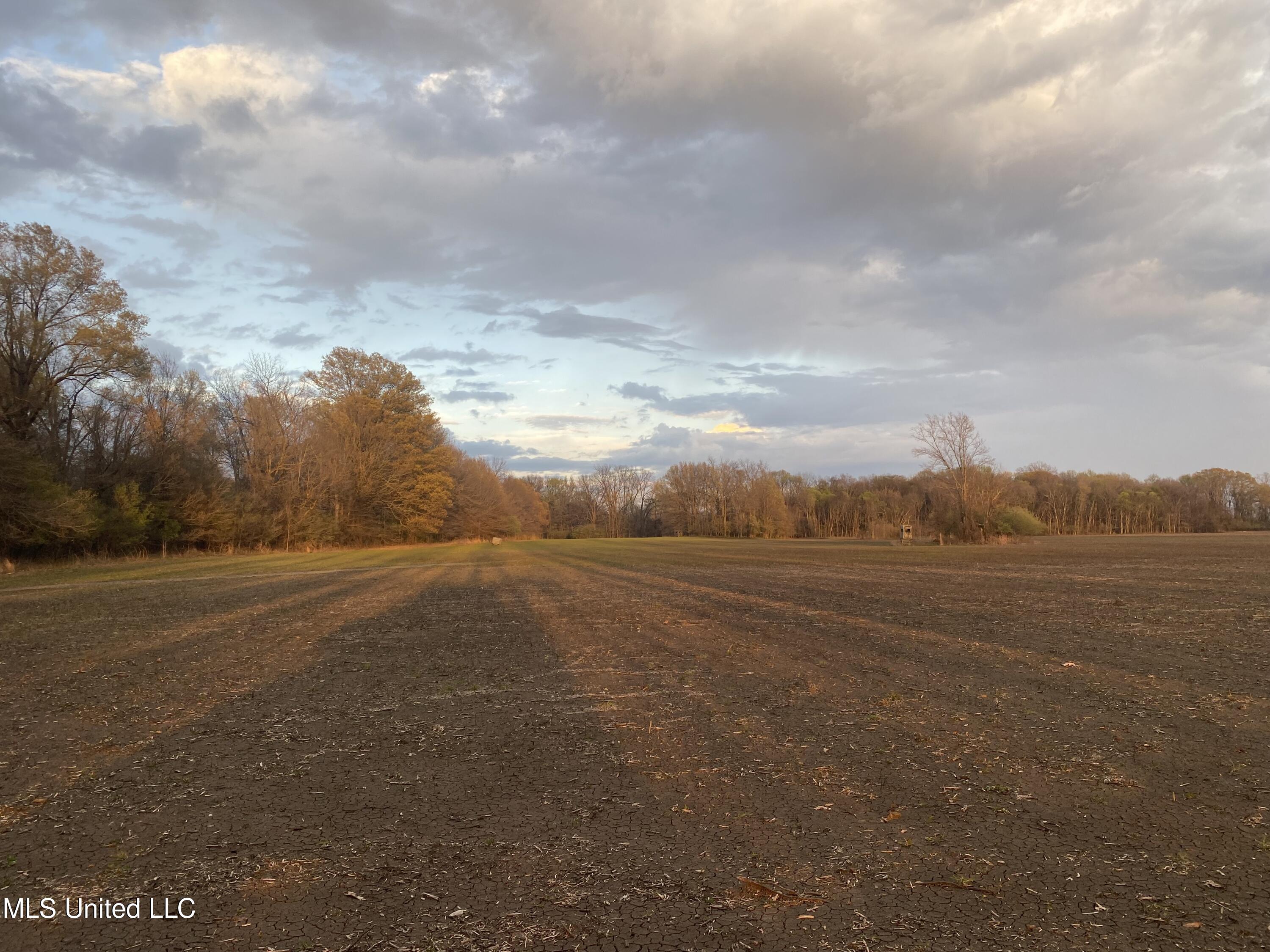 Huntington Point Road, Greenville, Mississippi image 38