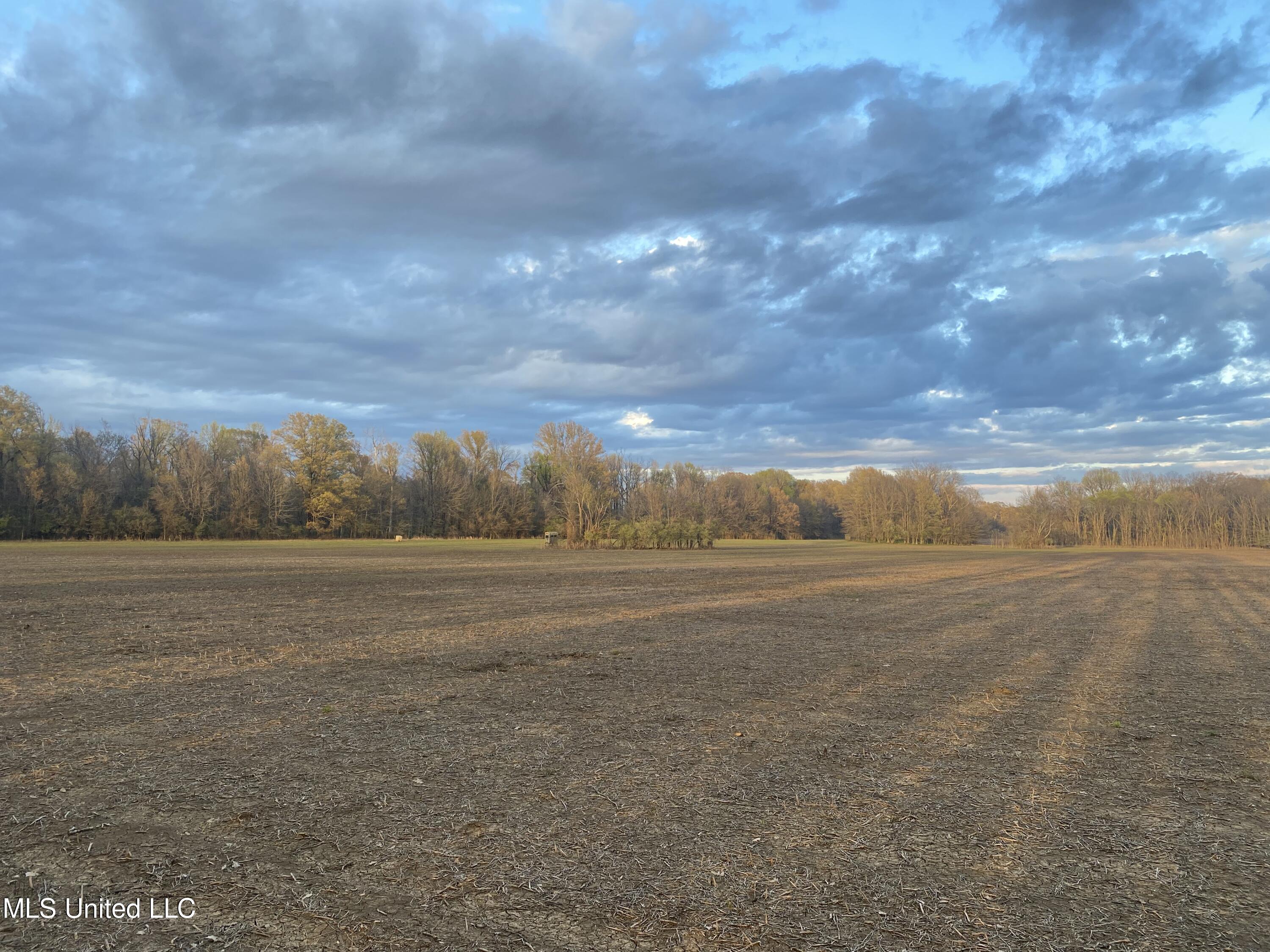 Huntington Point Road, Greenville, Mississippi image 26