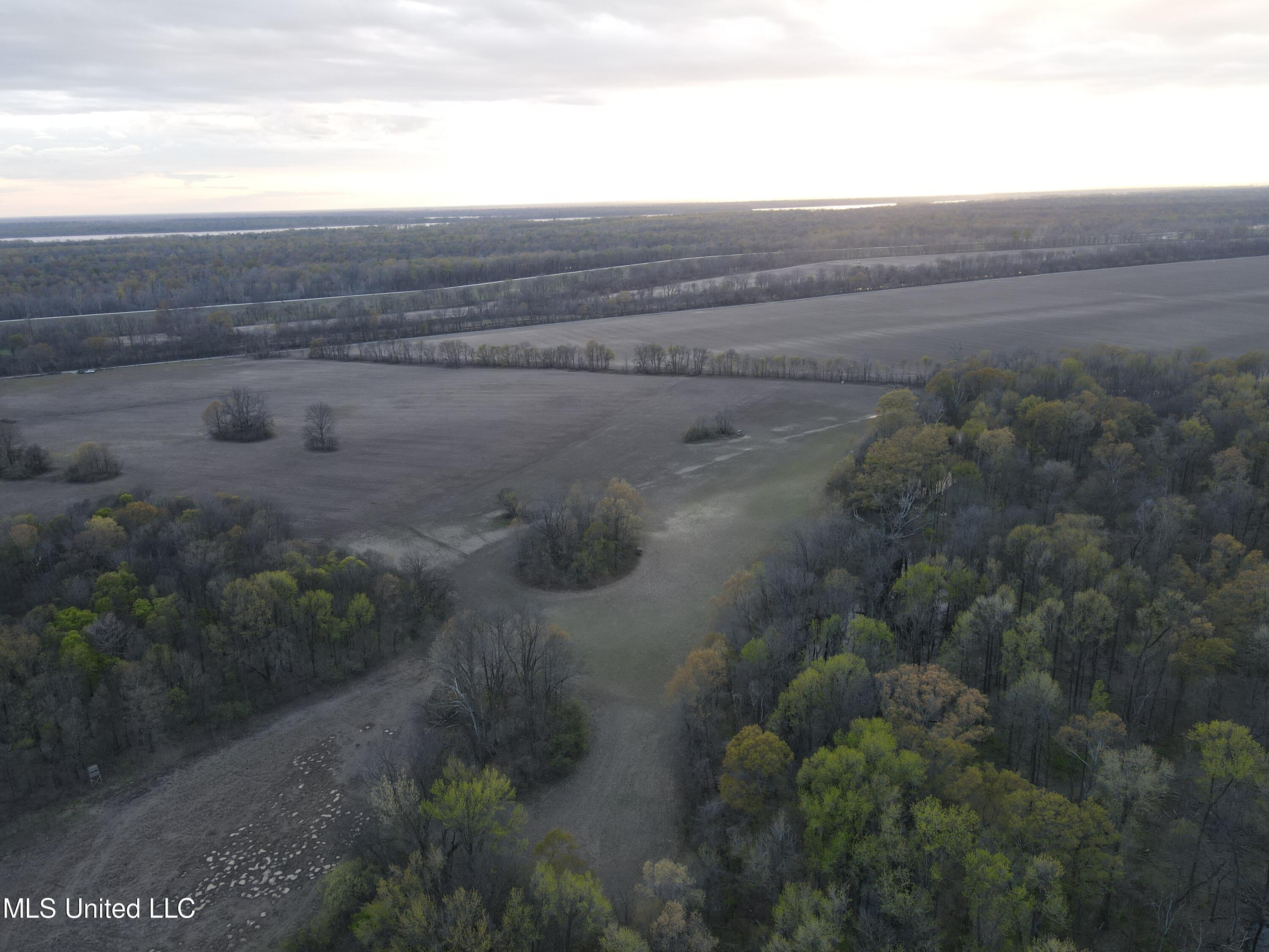 Huntington Point Road, Greenville, Mississippi image 18