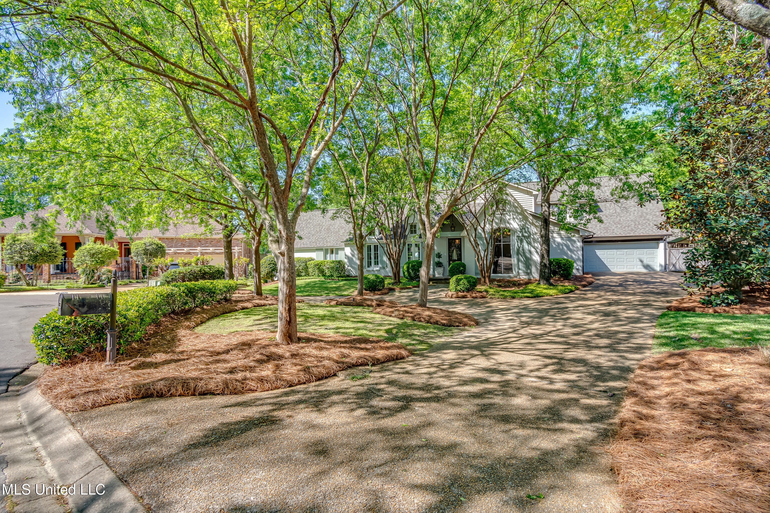 808 Hunter, Brandon, Mississippi image 11