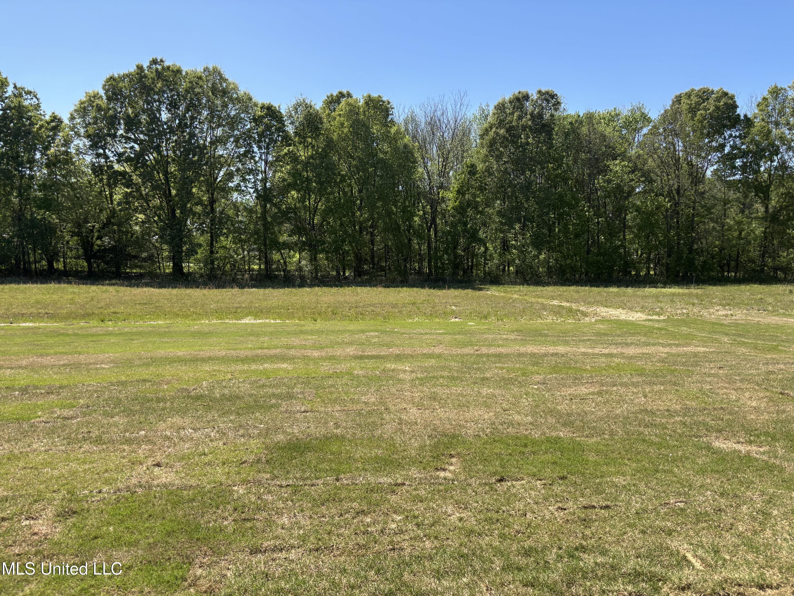 5189 Crick Lane, Hernando, Mississippi image 29