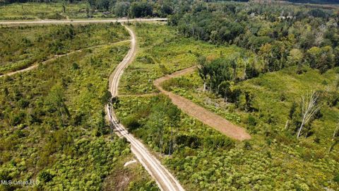 Vacant Land For Sale - 1 Highway 35<br/> Forest, MS 39074