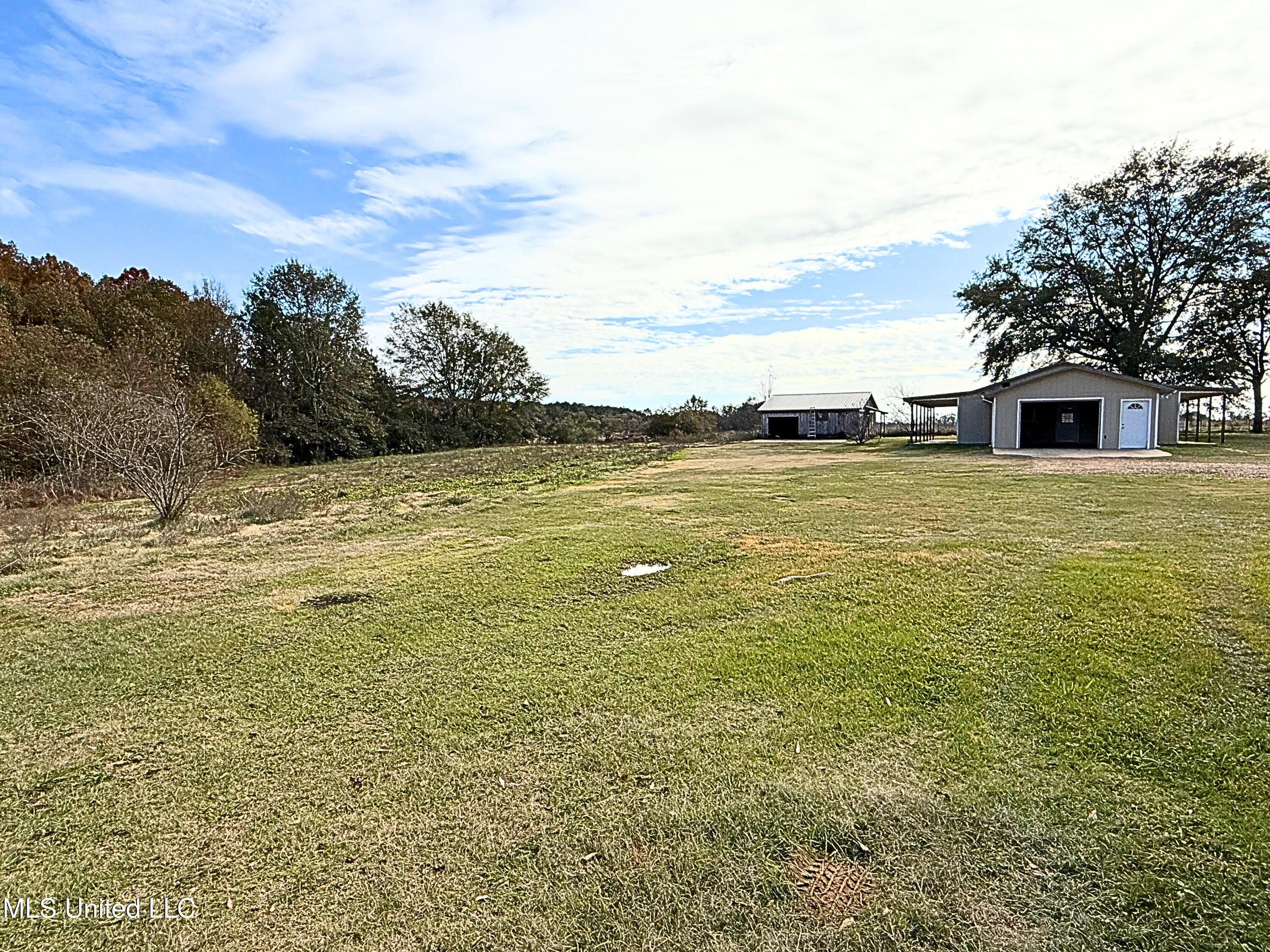 149 Scr 57, Mount Olive, Mississippi image 20