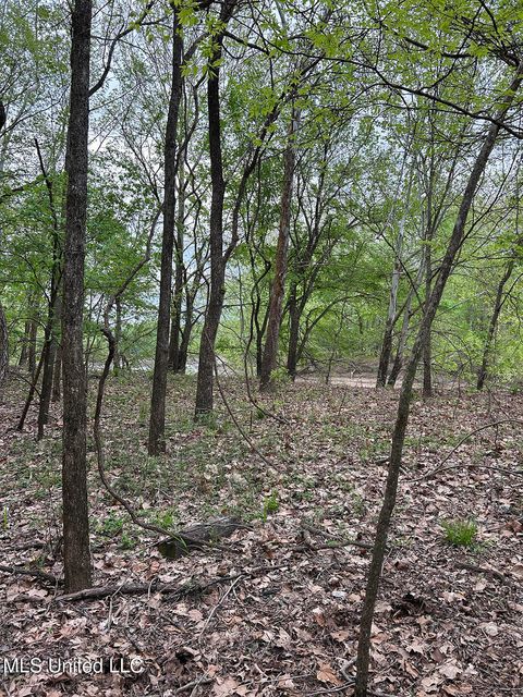 Vacant Land For Sale - County Road 150<br/> Leflore County, Greenwood, MS 38930