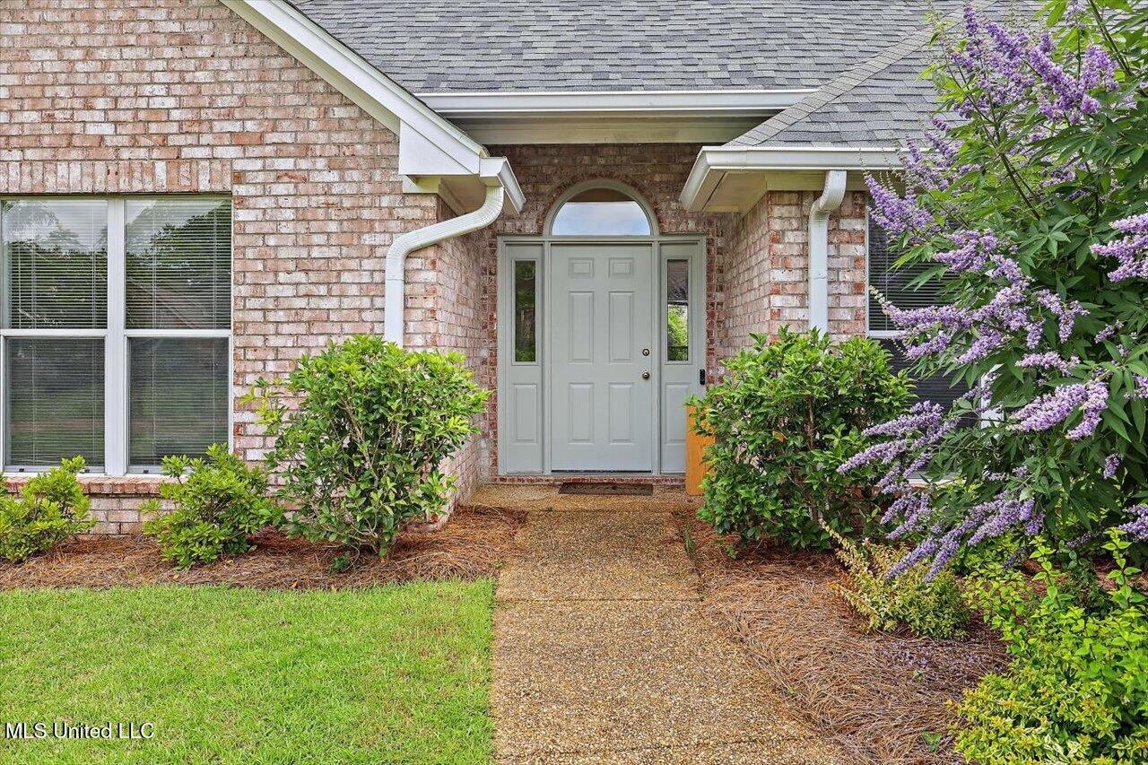 453 Abbey Woods, Brandon, Mississippi image 4