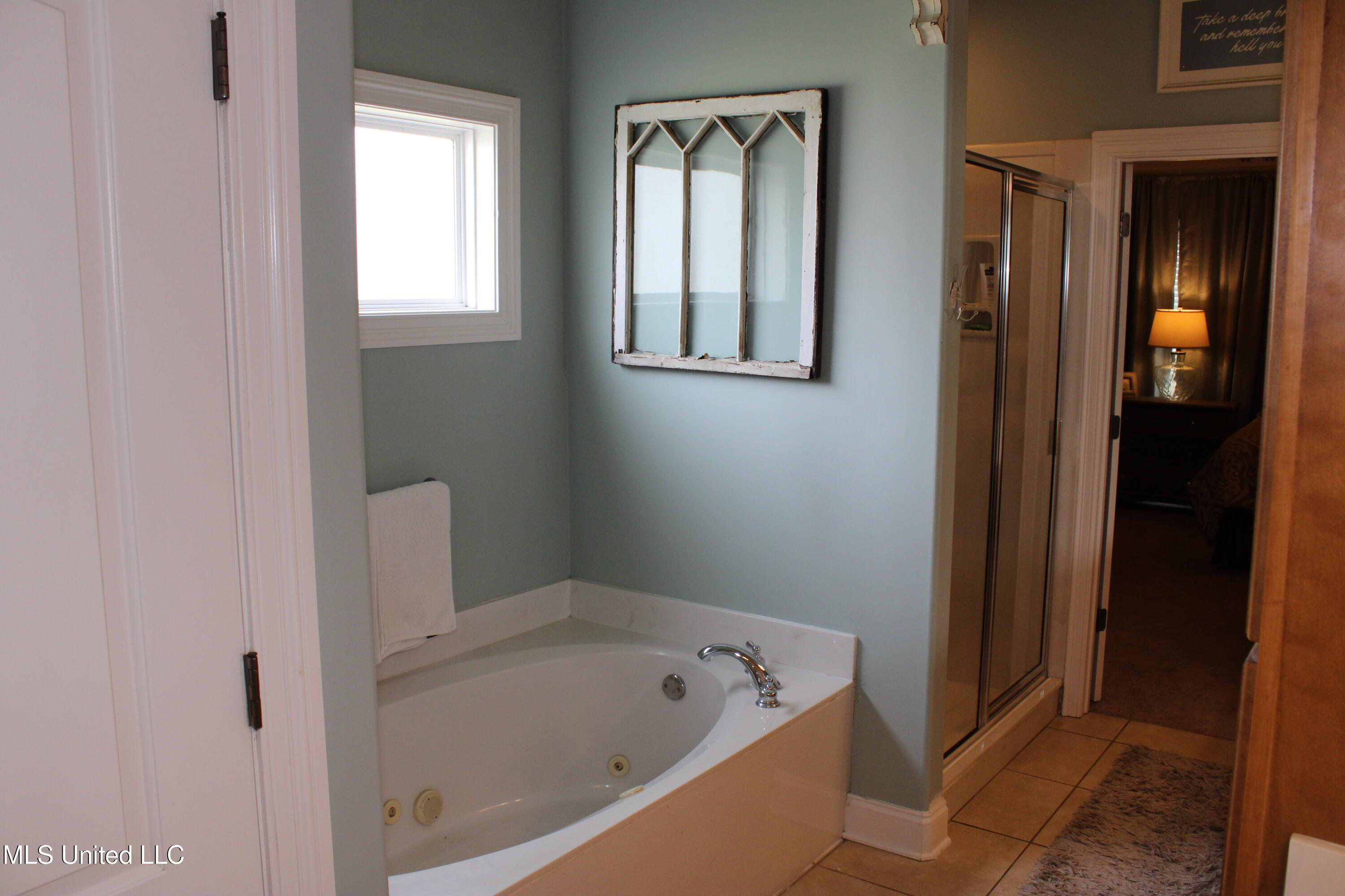 3510 Holsten Creek Drive, Southaven, Mississippi image 25