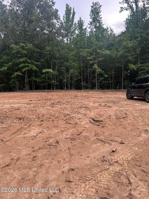 Vacant Land For Sale - 6 Fogg Road<br/> Nesbit, MS 38651