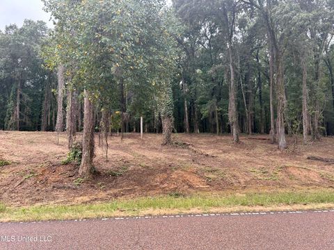 Vacant Land For Sale - 6 Fogg Road<br/> Nesbit, MS 38651