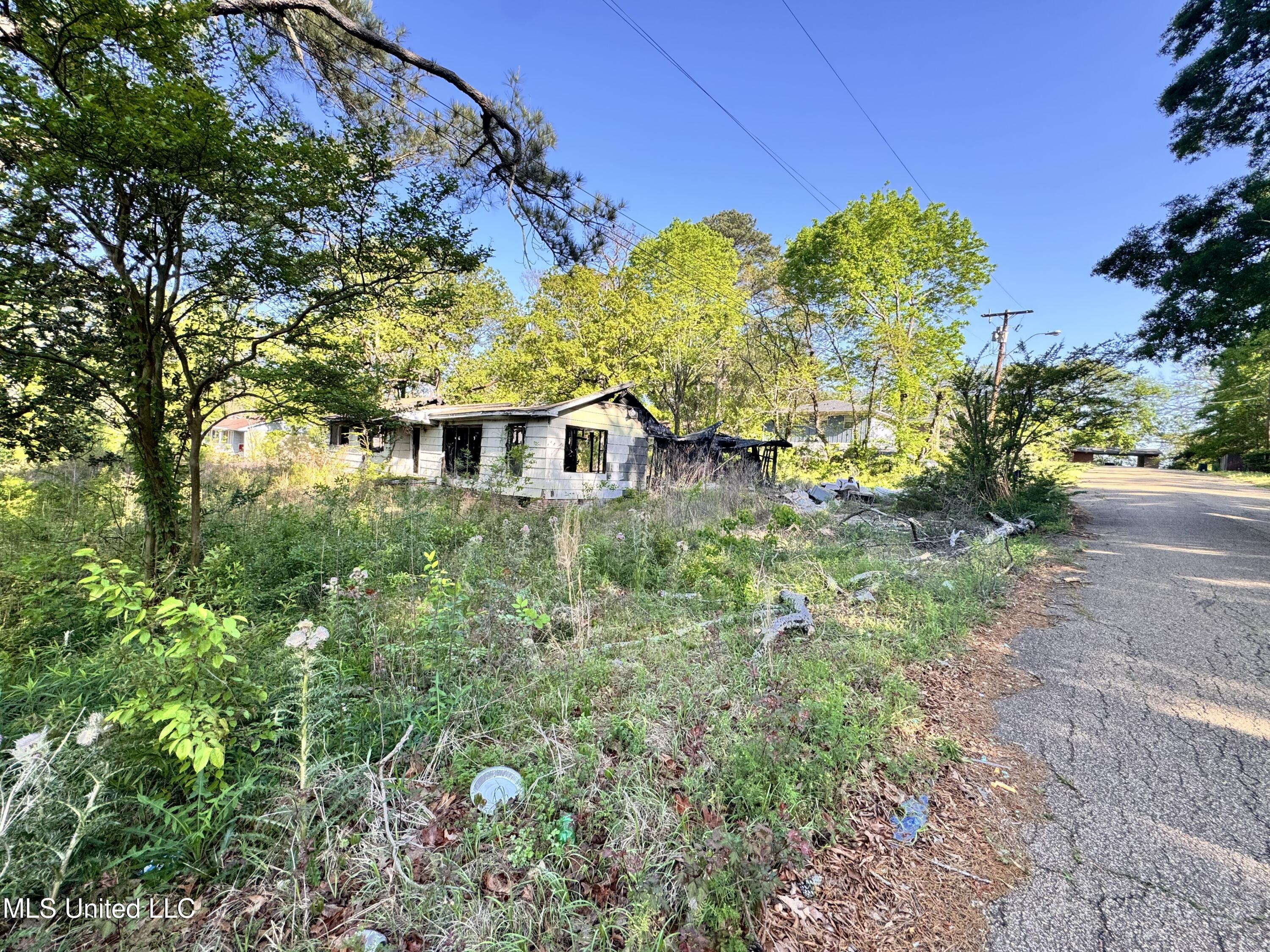 260 Marla Avenue, Jackson, Mississippi image 1