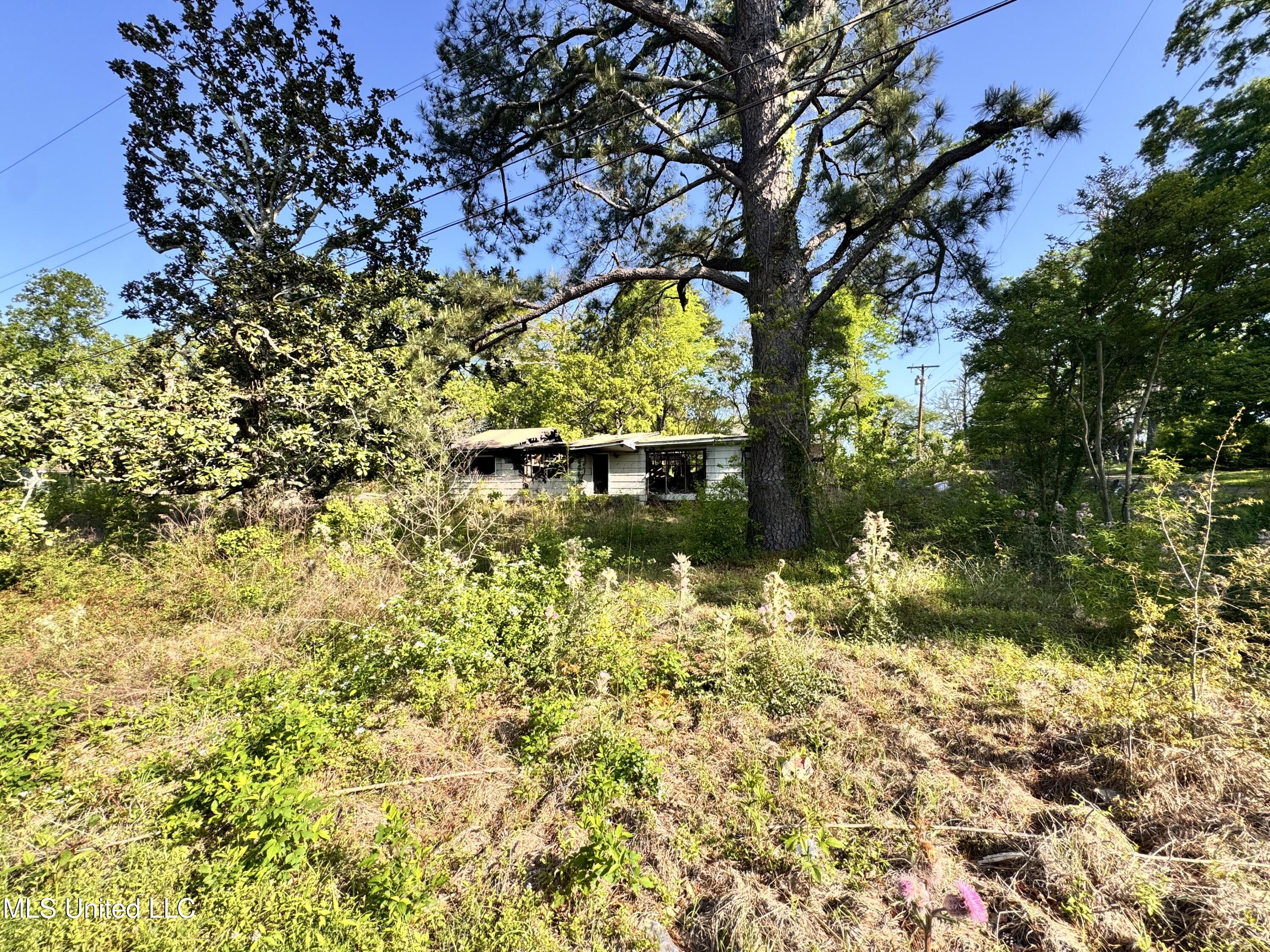 260 Marla Avenue, Jackson, Mississippi image 2