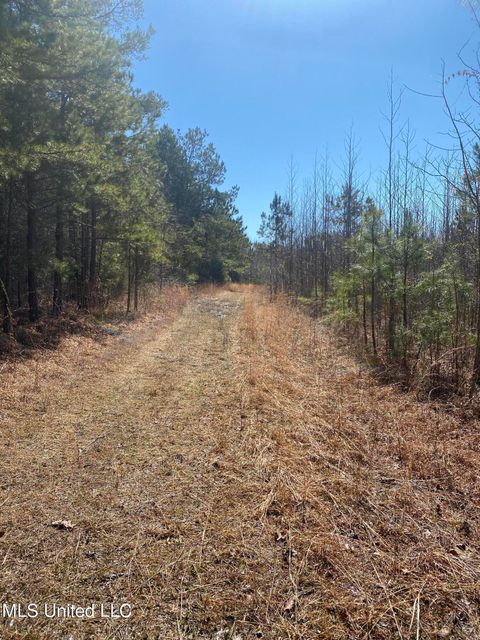 Vacant Land For Sale - Co Rd 700<br/> Ripley, MS 38663